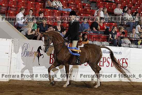 Proof 10buck_6017