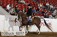 10buck_6017 proof