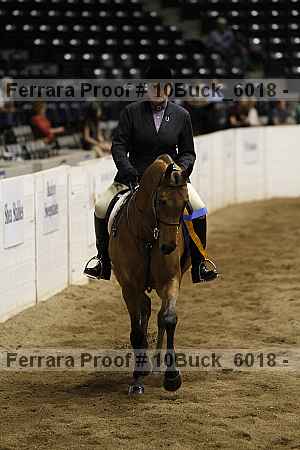 Proof 10buck_6018