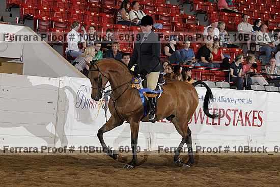 Proof 10buck_6019
