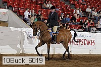 10buck_6019 proof