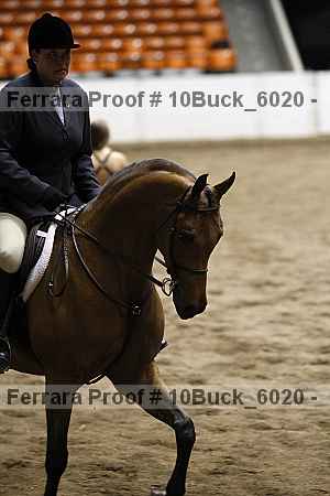 Proof 10buck_6020