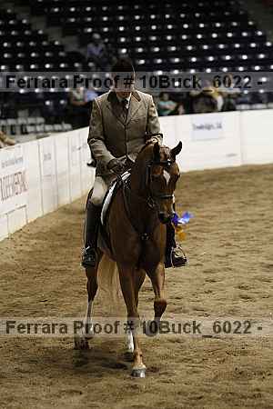 Proof 10buck_6022