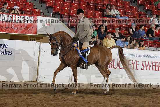 Proof 10buck_6023