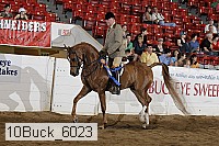 10buck_6023 proof