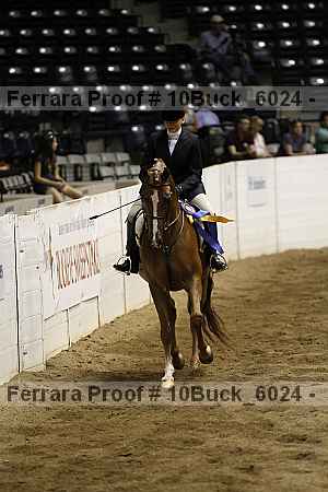 Proof 10buck_6024