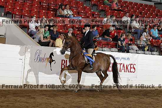 Proof 10buck_6026