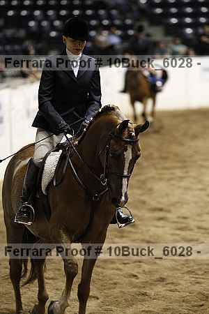 Proof 10buck_6028
