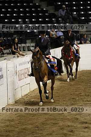 Proof 10buck_6029