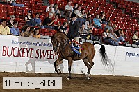 10buck_6030 proof