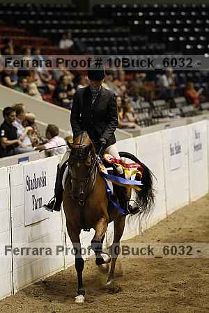 Proof 10buck_6032