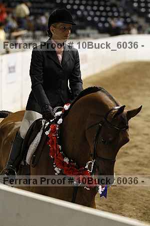 Proof 10buck_6036