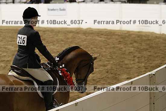 Proof 10buck_6037
