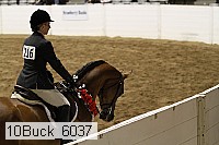 10buck_6037 proof