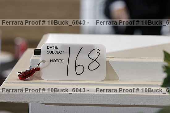 Proof 10buck_6043
