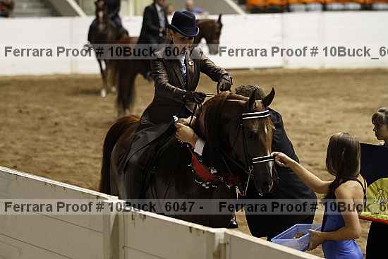 Proof 10buck_6047