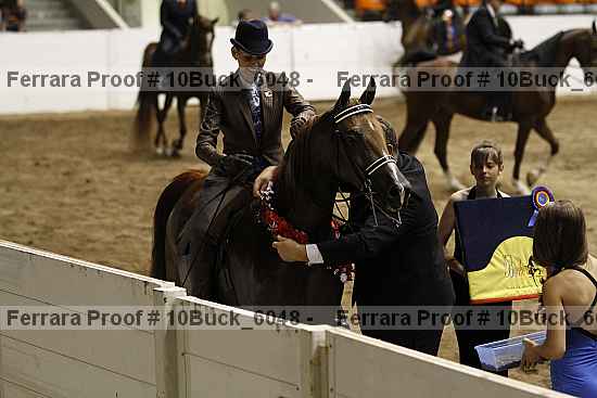 Proof 10buck_6048