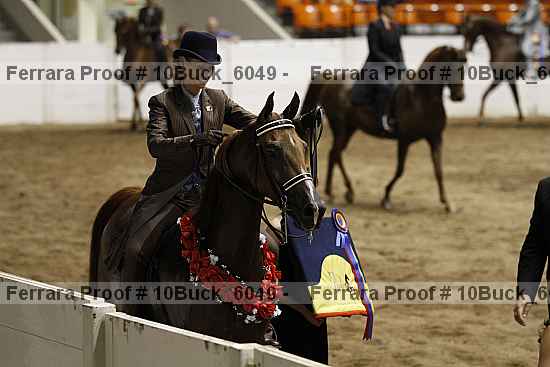 Proof 10buck_6049