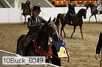 10buck_6049 proof