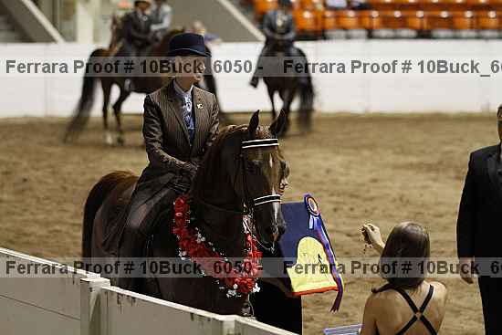 Proof 10buck_6050