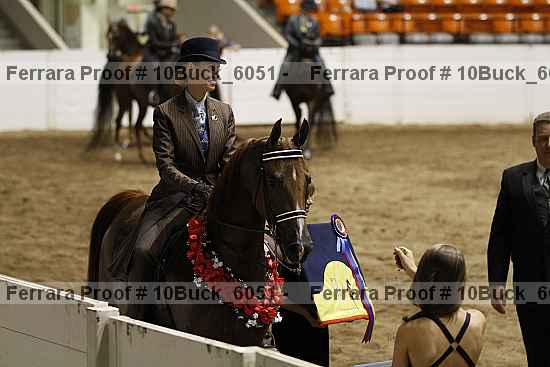 Proof 10buck_6051