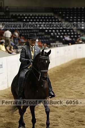 Proof 10buck_6056