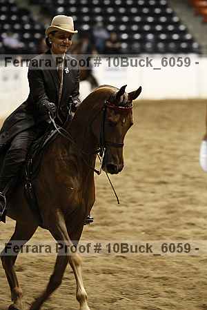 Proof 10buck_6059