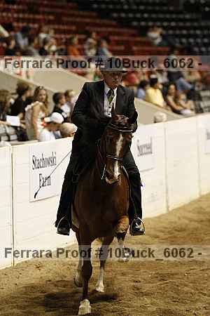Proof 10buck_6062
