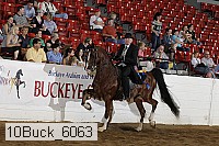 10buck_6063 proof