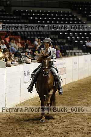 Proof 10buck_6065
