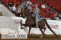 10buck_6066 proof