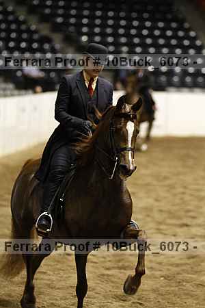 Proof 10buck_6073