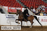 10buck_6078 proof