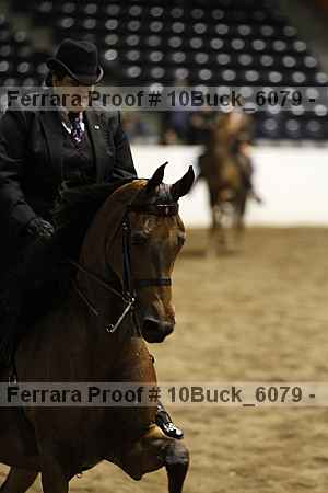 Proof 10buck_6079