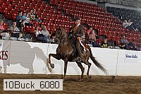 10buck_6080 proof