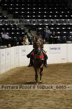 Proof 10buck_6085