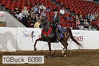 10buck_6088 proof