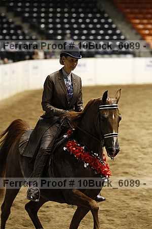 Proof 10buck_6089