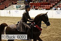 10buck_6093 proof