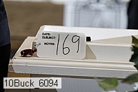 10buck_6094 proof