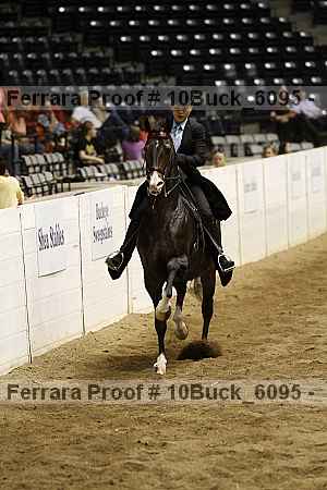 Proof 10buck_6095