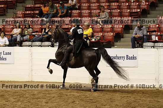 Proof 10buck_6096
