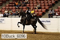 10buck_6096 proof