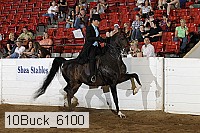 10buck_6100 proof