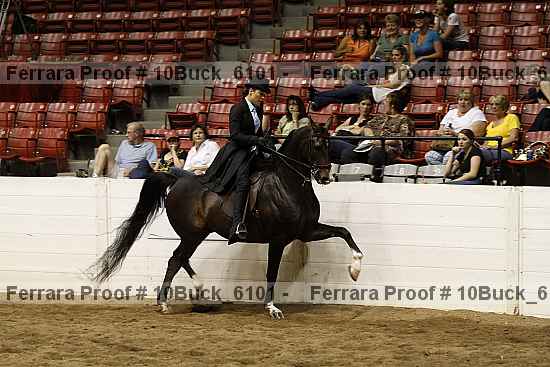 Proof 10buck_6101