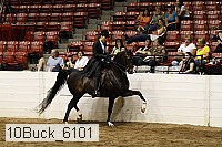 10buck_6101 proof