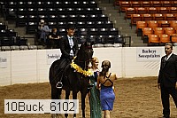 10buck_6102 proof