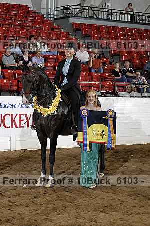 Proof 10buck_6103