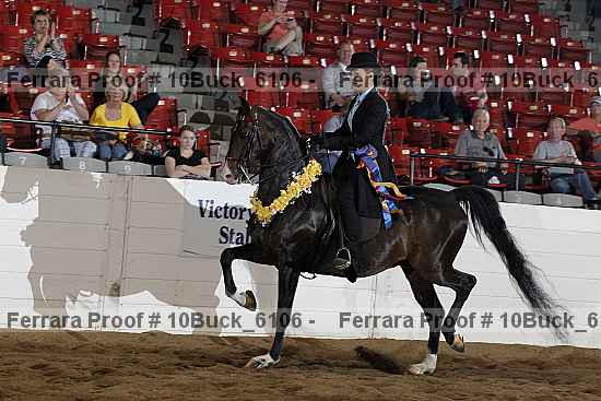 Proof 10buck_6106