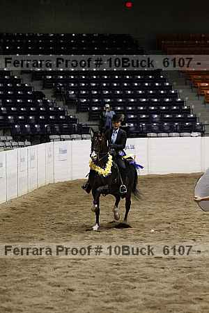 Proof 10buck_6107